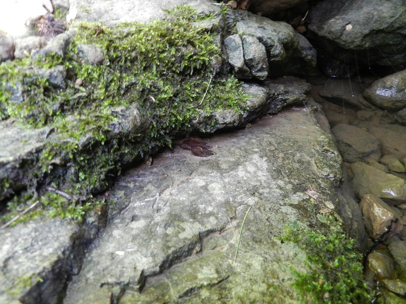 DSCN9668.JPG